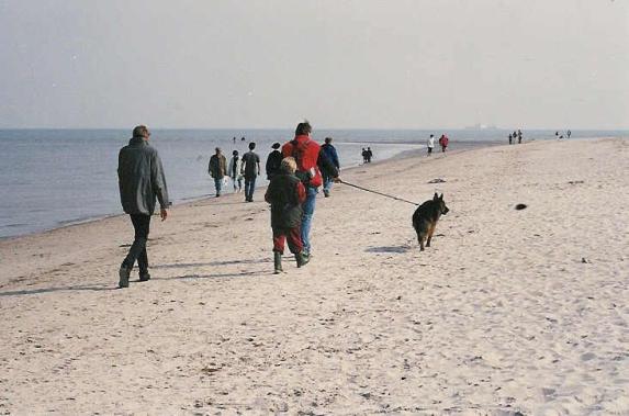 HS Strand1